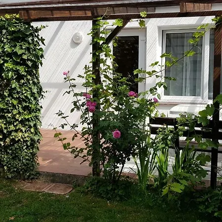 Na Glogowej Apartment