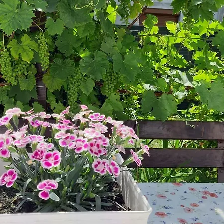Apartment Na Glogowej